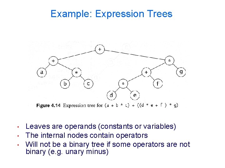 Example: Expression Trees • • • Leaves are operands (constants or variables) The internal