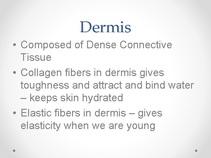 Dermis • Composed of Dense Connective Tissue • Collagen fibers in dermis gives toughness