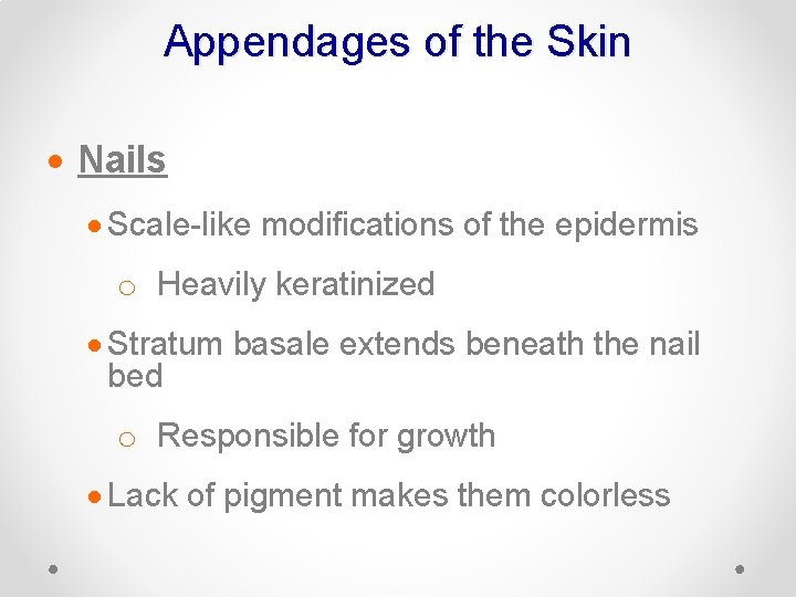 Appendages of the Skin · Nails · Scale-like modifications of the epidermis o Heavily