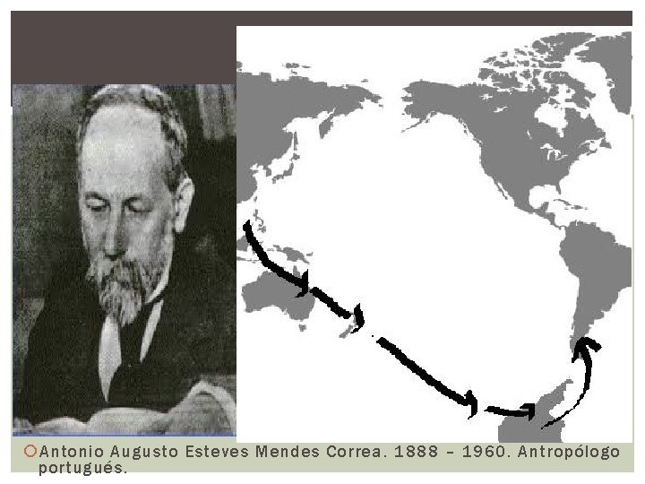  Antonio Augusto Esteves Mendes Correa. 1888 – 1960. Antropólogo portugués. 