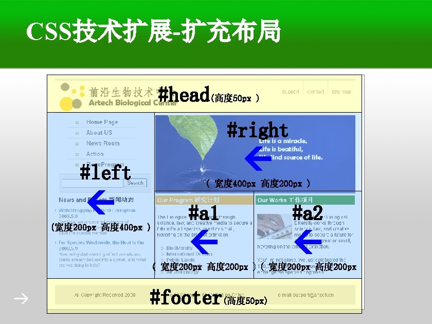 CSS技术扩展-扩充布局 #head(高度 50 px ) #right #left ( 宽度 400 px 高度 200 px