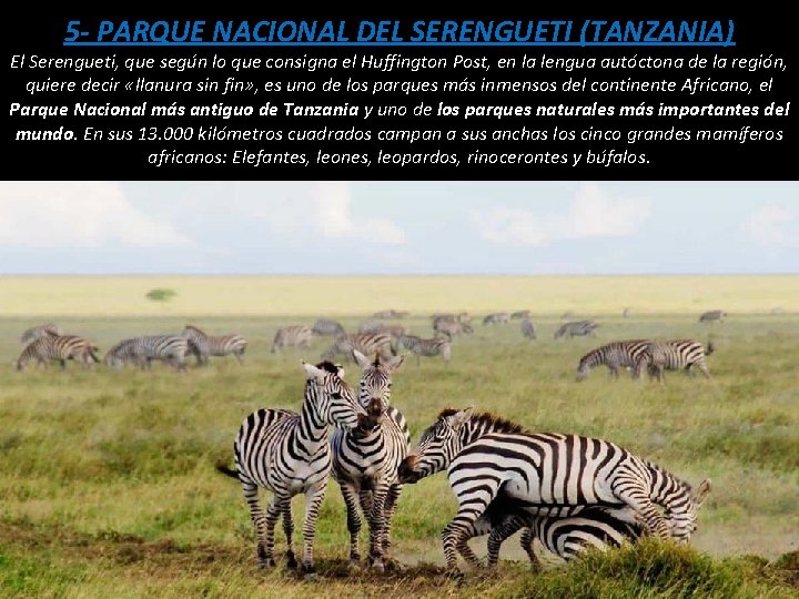 5 - PARQUE NACIONAL DEL SERENGUETI (TANZANIA) El Serengueti, que según lo que consigna