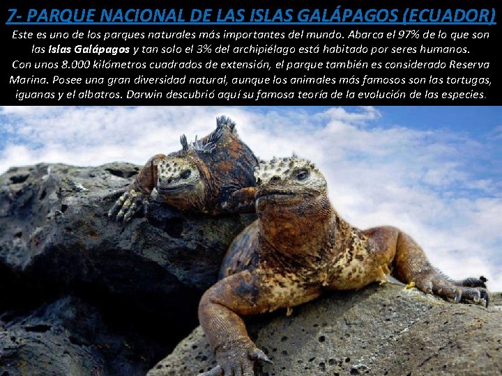 7 - PARQUE NACIONAL DE LAS ISLAS GALÁPAGOS (ECUADOR) Este es uno de los