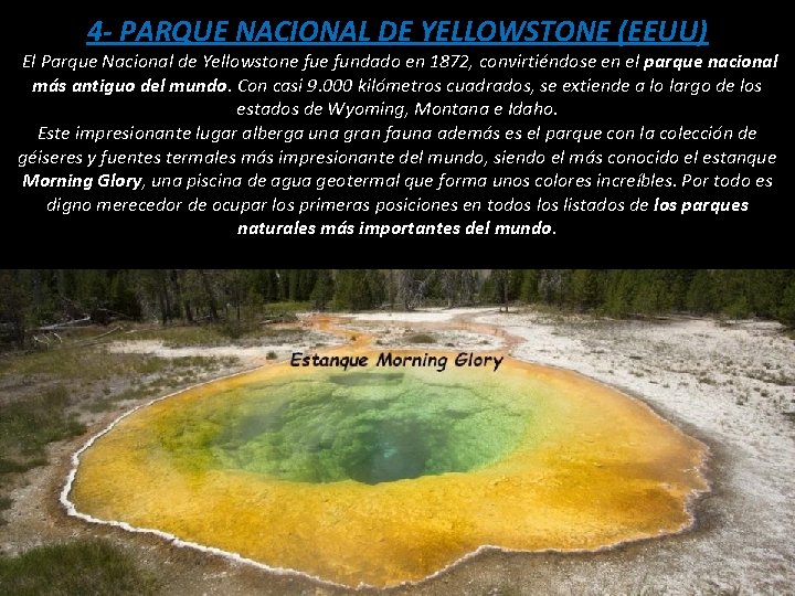 4 - PARQUE NACIONAL DE YELLOWSTONE (EEUU) El Parque Nacional de Yellowstone fundado en