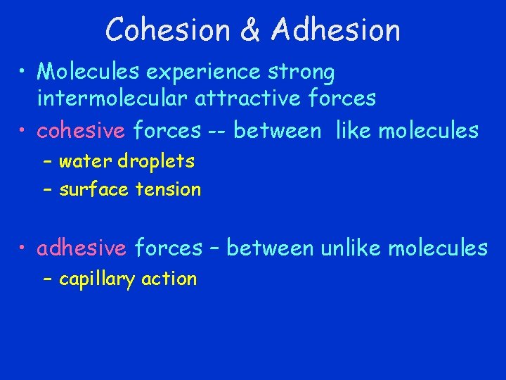 Cohesion & Adhesion • Molecules experience strong intermolecular attractive forces • cohesive forces --