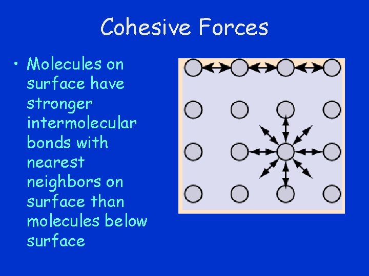 Cohesive Forces • Molecules on surface have stronger intermolecular bonds with nearest neighbors on