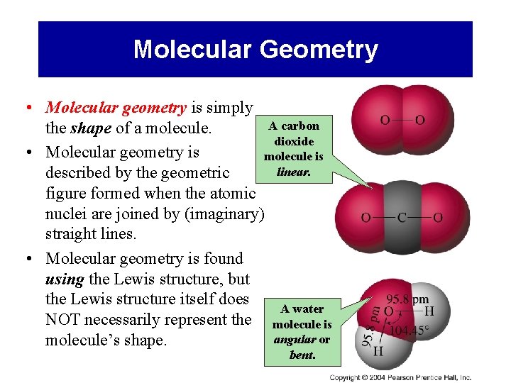 Molecular Geometry • Molecular geometry is simply A carbon the shape of a molecule.