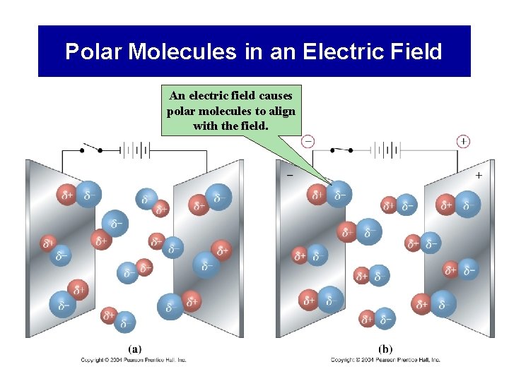 Polar Molecules in an Electric Field An electric field causes polar molecules to align