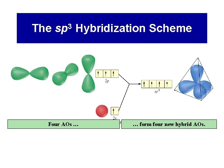 The sp 3 Hybridization Scheme Four AOs … … form four new hybrid AOs.