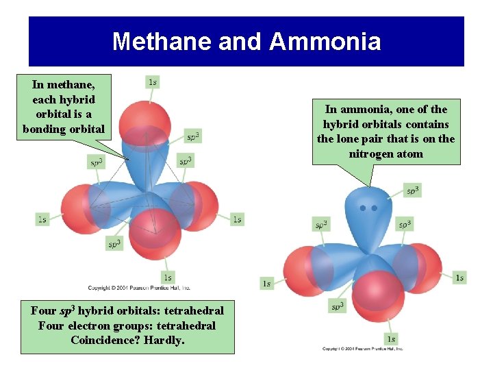 Methane and Ammonia In methane, each hybrid orbital is a bonding orbital Four sp