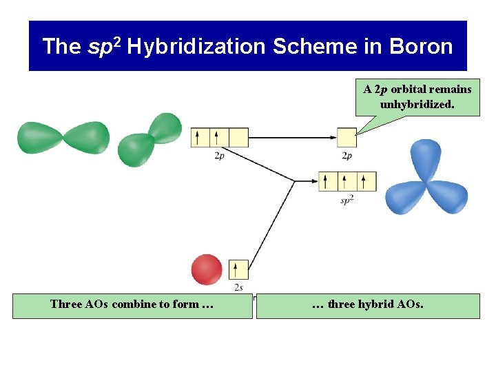 The sp 2 Hybridization Scheme in Boron A 2 p orbital remains unhybridized. Three