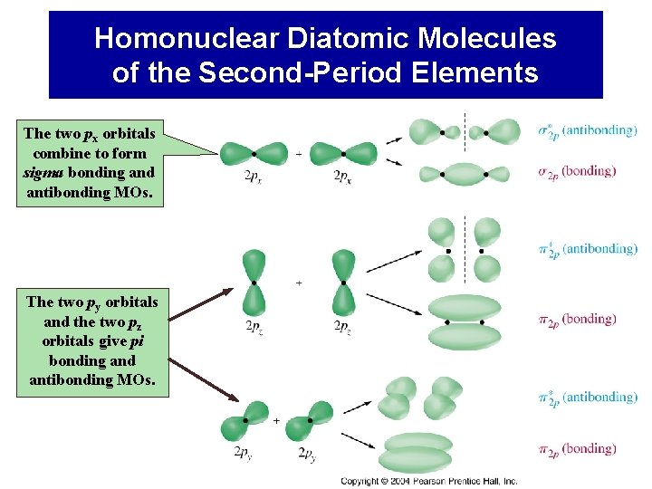 Homonuclear Diatomic Molecules of the Second-Period Elements The two px orbitals combine to form