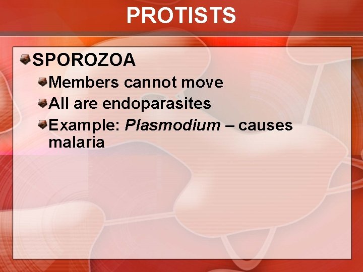 PROTISTS SPOROZOA Members cannot move All are endoparasites Example: Plasmodium – causes malaria 