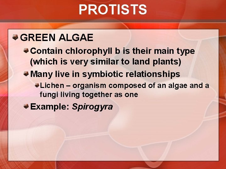 PROTISTS GREEN ALGAE Contain chlorophyll b is their main type (which is very similar
