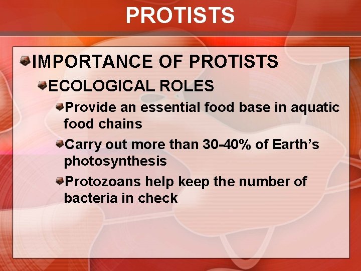 PROTISTS IMPORTANCE OF PROTISTS ECOLOGICAL ROLES Provide an essential food base in aquatic food