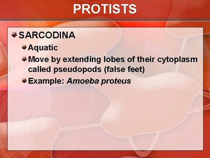 PROTISTS SARCODINA Aquatic Move by extending lobes of their cytoplasm called pseudopods (false feet)
