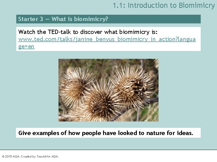 1. 1: Introduction to Biomimicry Starter 3 — What is biomimicry? Watch the TED-talk