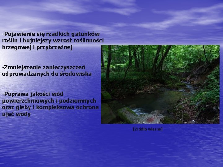  • Pojawienie się rzadkich gatunków roślin i bujniejszy wzrost roślinności brzegowej i przybrzeżnej