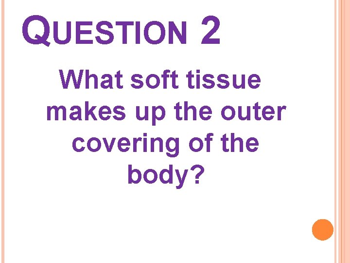 QUESTION 2 What soft tissue makes up the outer covering of the body? 