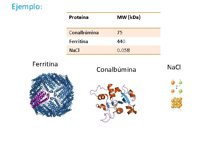 Ejemplo: Ferritina Proteína MW (k. Da) Conalbúmina 75 Ferritina 440 Na. Cl 0. 058