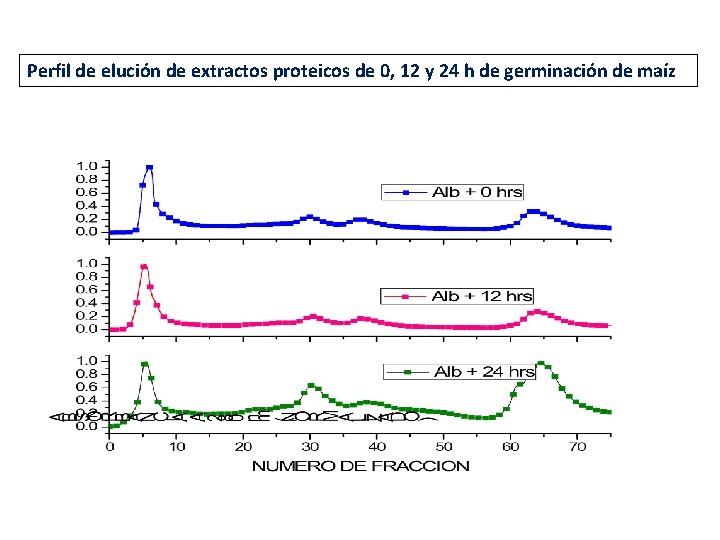 Perfil de elución de extractos proteicos de 0, 12 y 24 h de germinación