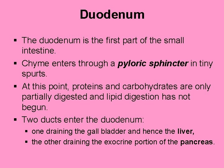 Duodenum § The duodenum is the first part of the small intestine. § Chyme