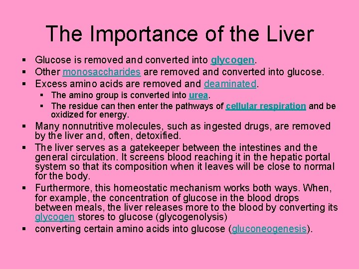 The Importance of the Liver § Glucose is removed and converted into glycogen. §