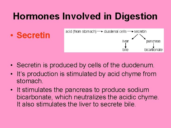 Hormones Involved in Digestion • Secretin is produced by cells of the duodenum. •