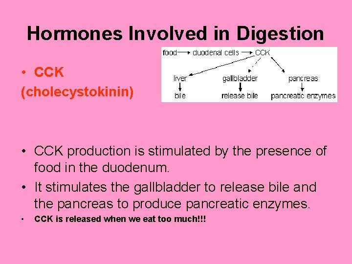 Hormones Involved in Digestion • CCK (cholecystokinin) • CCK production is stimulated by the