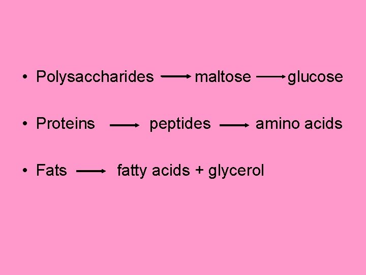  • Polysaccharides • Proteins • Fats maltose peptides glucose amino acids fatty acids