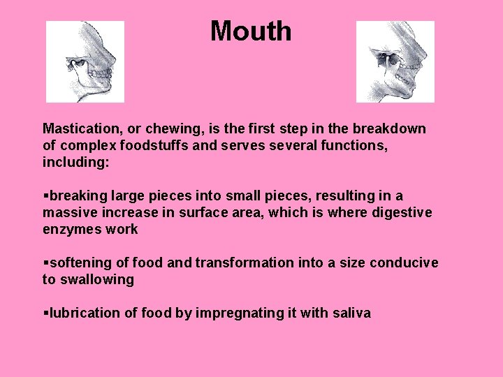 Mouth Mastication, or chewing, is the first step in the breakdown of complex foodstuffs