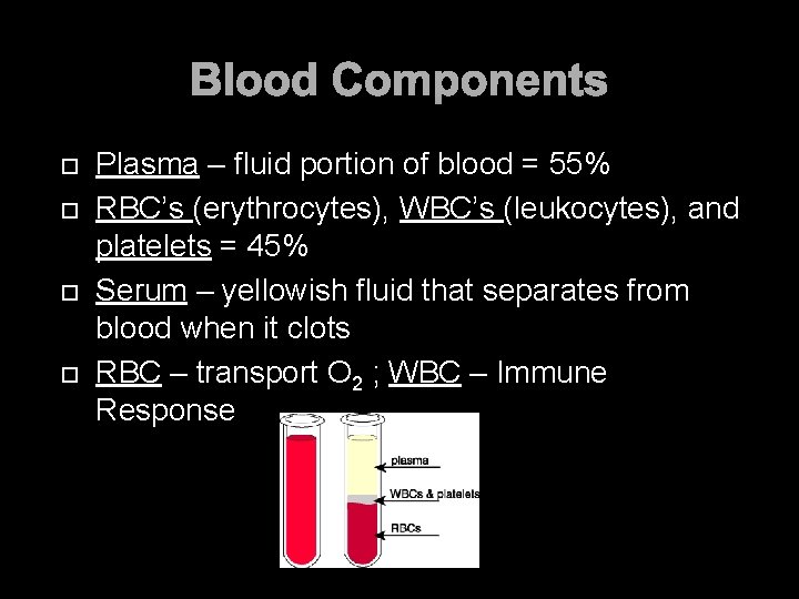 Blood Components Plasma – fluid portion of blood = 55% RBC’s (erythrocytes), WBC’s (leukocytes),