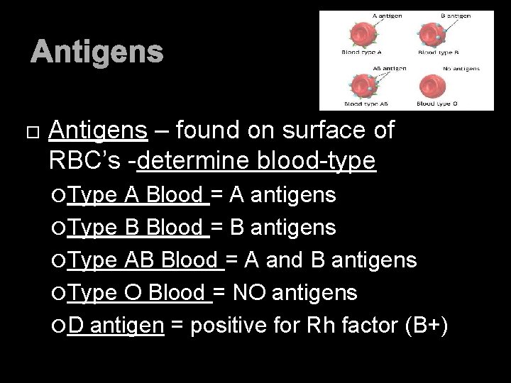 SEROLOGY HISTORY ANTIGENS ANTIBODIES Chapter 12 Serology Background