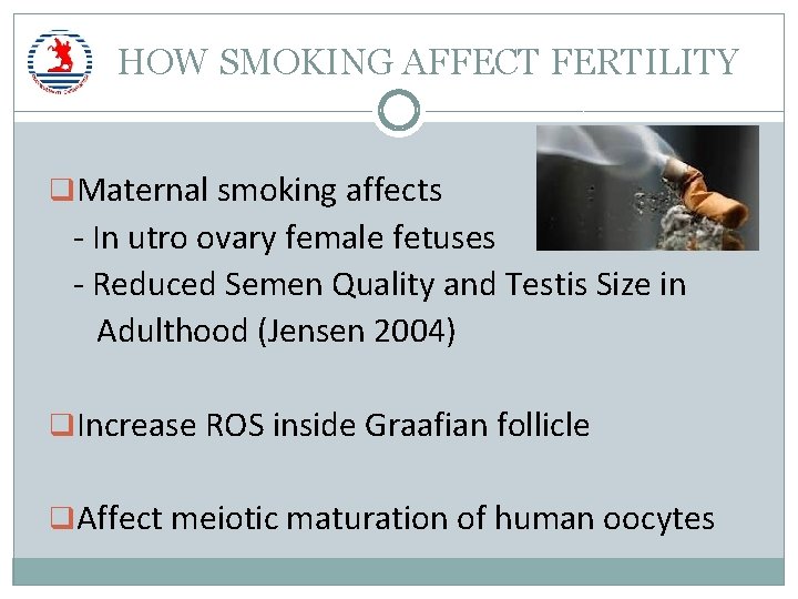 HOW SMOKING AFFECT FERTILITY q. Maternal smoking affects - In utro ovary female fetuses