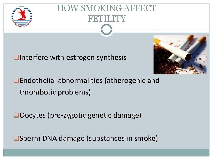 HOW SMOKING AFFECT FETILITY q Interfere with estrogen synthesis q Endothelial abnormalities (atherogenic and