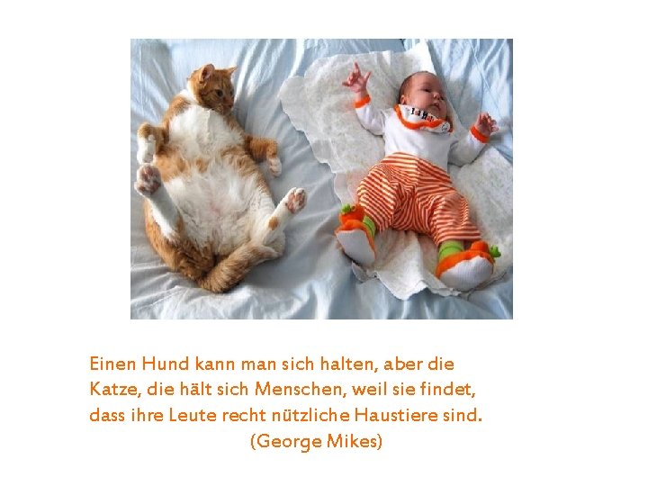 Einen Hund kann man sich halten, aber die Katze, die hält sich Menschen, weil