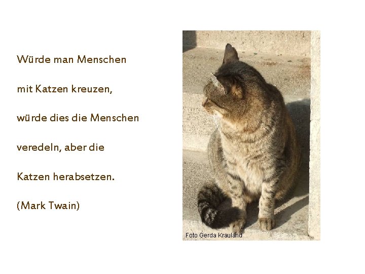 Würde man Menschen mit Katzen kreuzen, würde dies die Menschen veredeln, aber die Katzen