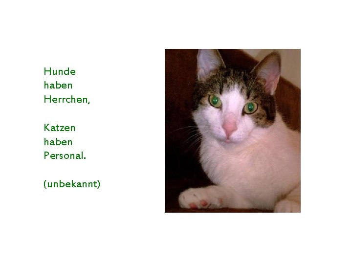 Hunde haben Herrchen, Katzen haben Personal. (unbekannt) 