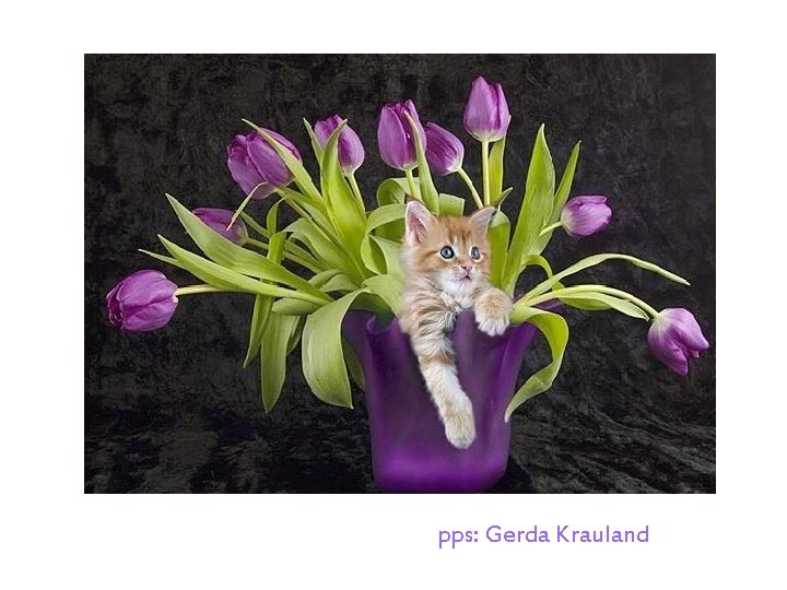 pps: Gerda Krauland 