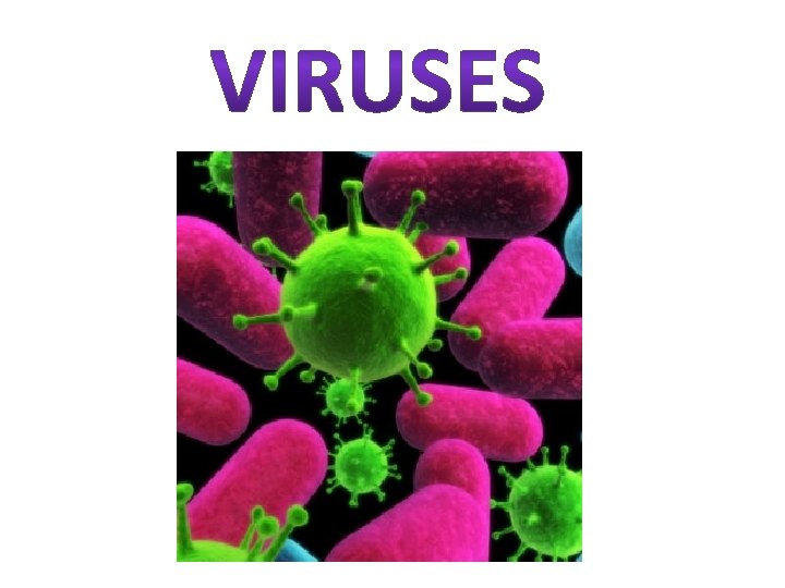 Good Afternoon Warm Up Scientific Investigation vocabulary sheet