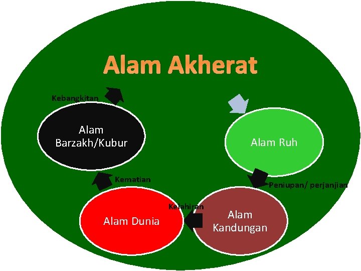 Alam Akherat Kebangkitan Alam Barzakh/Kubur Alam Ruh Kematian Peniupan/ perjanjian Kelahiran Alam Dunia Alam