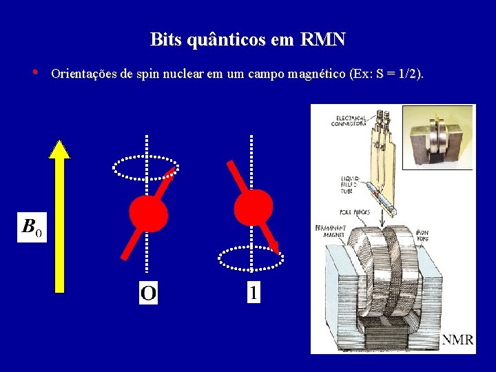 Bits quânticos em RMN • Orientações de spin nuclear em um campo magnético (Ex: