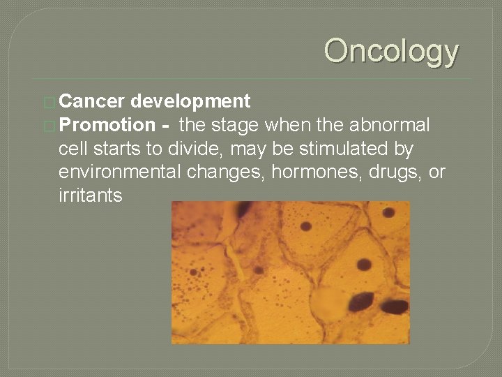 Oncology � Cancer development � Promotion - the stage when the abnormal cell starts