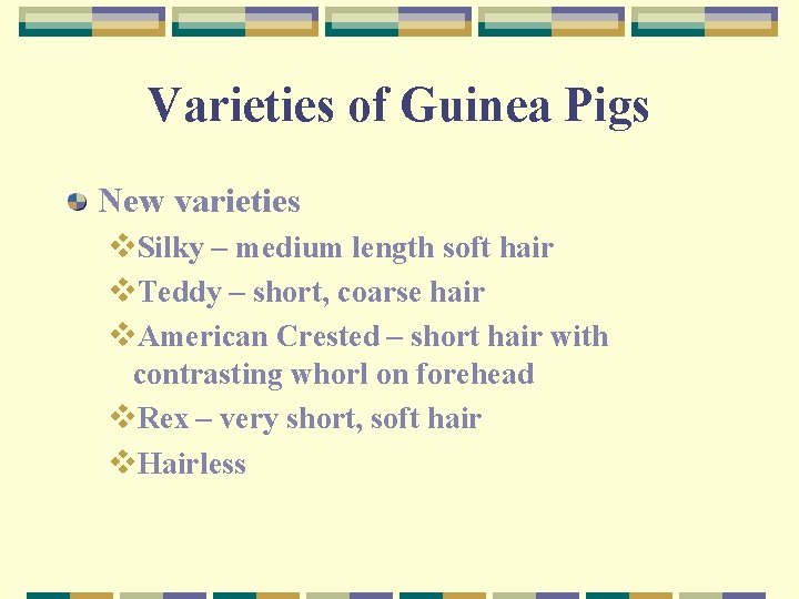 Varieties of Guinea Pigs New varieties v. Silky – medium length soft hair v.
