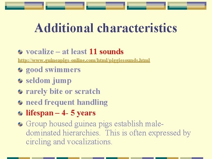 Additional characteristics vocalize – at least 11 sounds http: //www. guineapigs-online. com/html/piggiesounds. html good