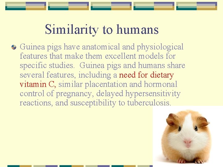 Similarity to humans Guinea pigs have anatomical and physiological features that make them excellent