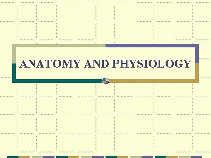 ANATOMY AND PHYSIOLOGY 