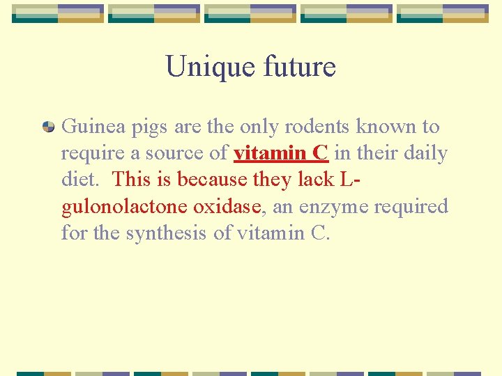 Unique future Guinea pigs are the only rodents known to require a source of