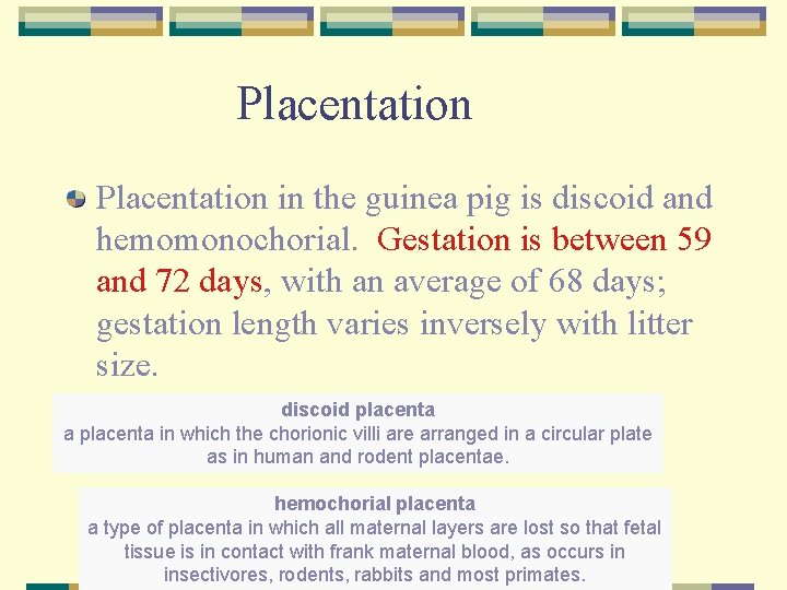 Placentation in the guinea pig is discoid and hemomonochorial. Gestation is between 59 and