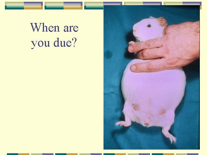 When are you due? 